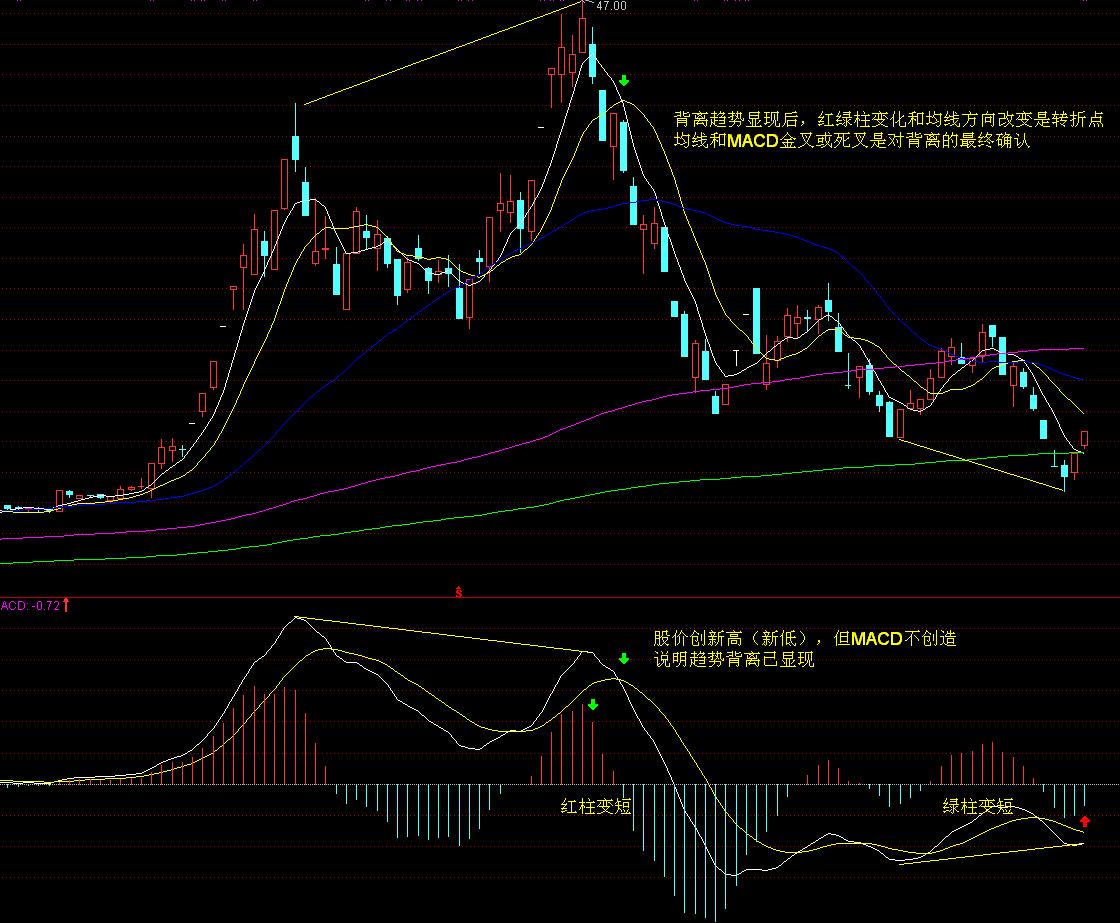 多名“湛将”代表广东队参赛