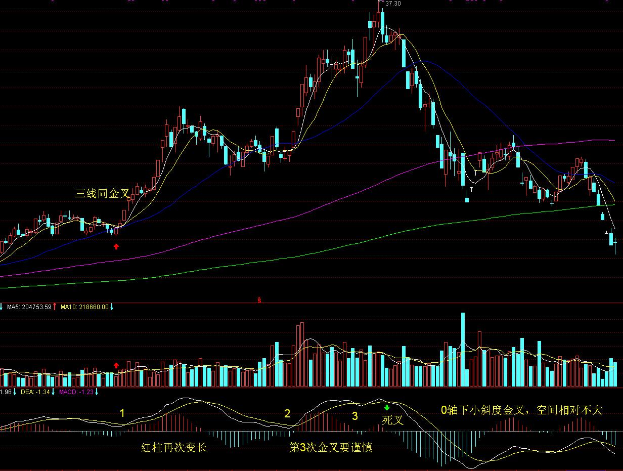 亚马逊(AMZN.US)重组音频业务：关闭Wondery播客工作室、裁员约110人