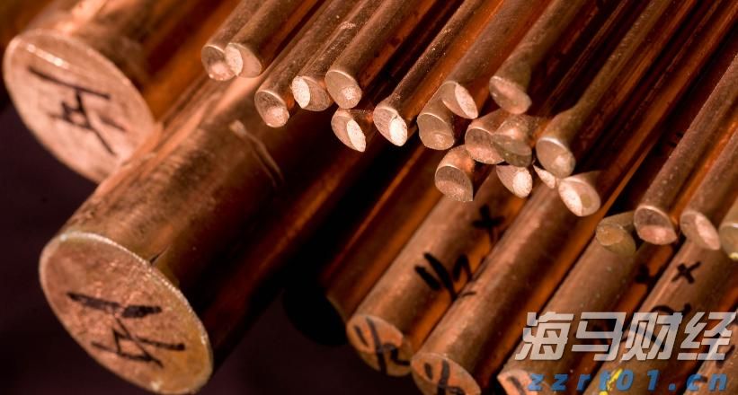 解锁新市场！梅州观赏鱼 “游” 进马来西亚