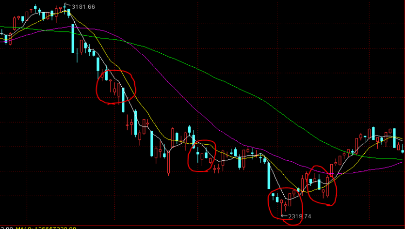 市民捐赠革命烈士证明书